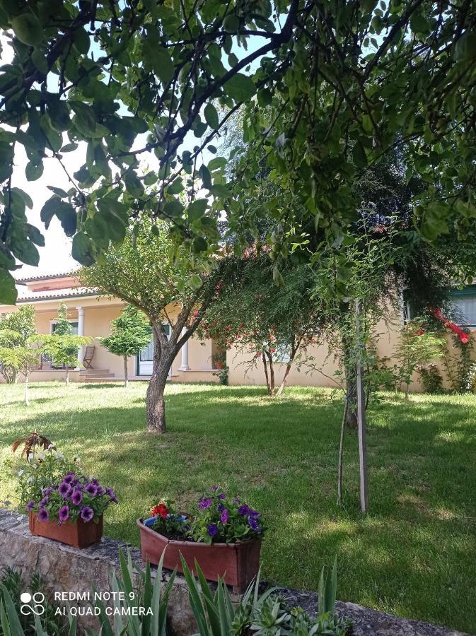 Casa Da Floresta Santiago da Guarda Exterior photo